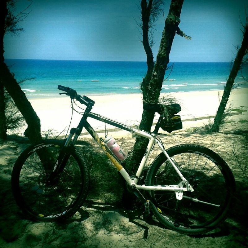 Tsubakithecat Tsubakithecat