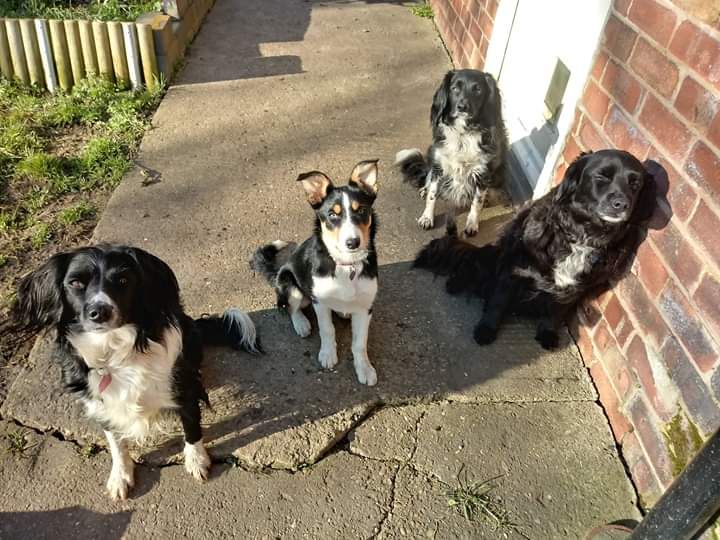 Lottieloulou Lottieloulou